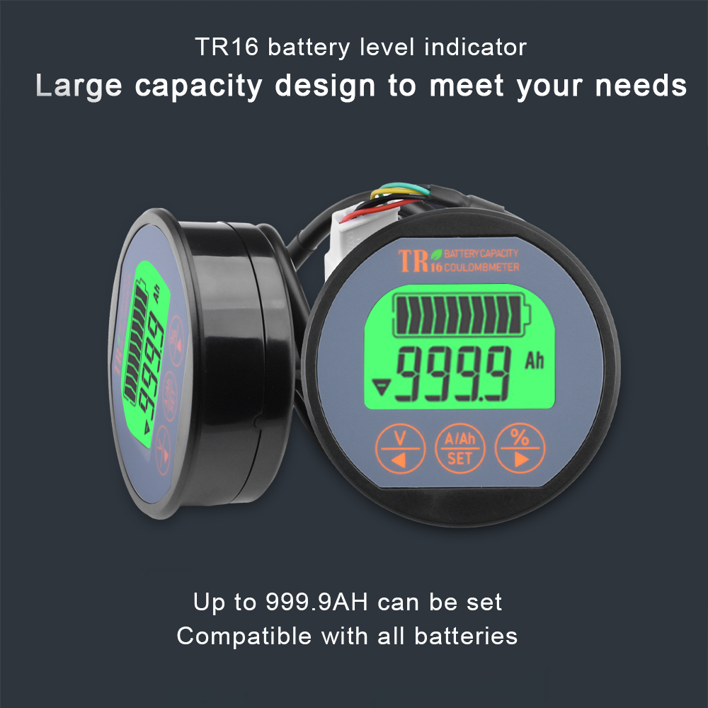 DC 8-80V 50A 100A 350A TR16 Ba - Battery Monitor Coulometer recensie en prijs